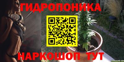 a pvp Заволжье