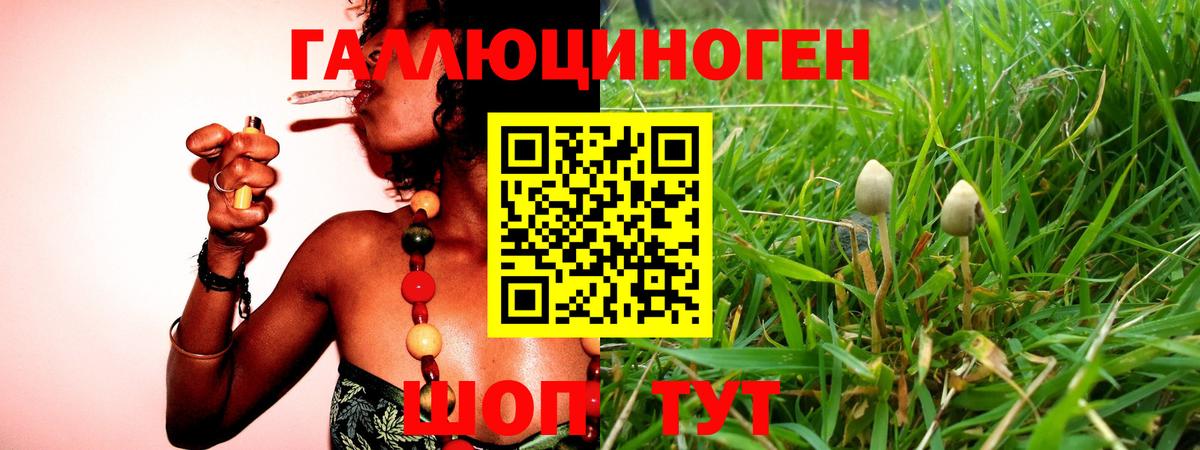 Псилоцибиновые грибы Psilocybine cubensis  Галлюциногенные грибы Cubensis  сколько стоит  Междуреченск  Вход с VPN 