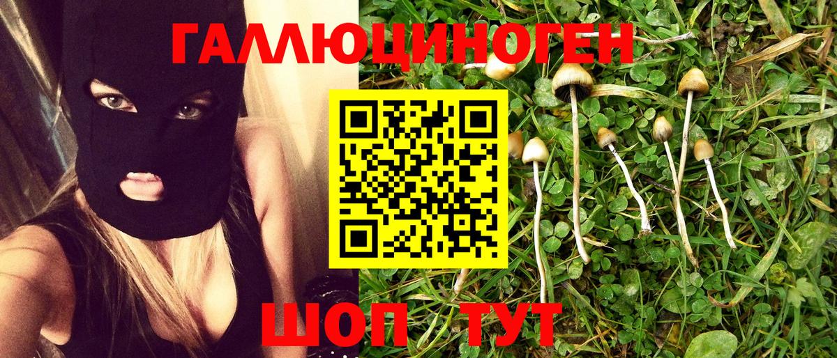 Псилоцибиновые грибы MAGIC MUSHROOMS Междуреченск
